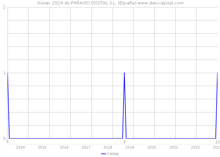 Visitas 2024 de PARAISO DIGITAL S.L. (España) 