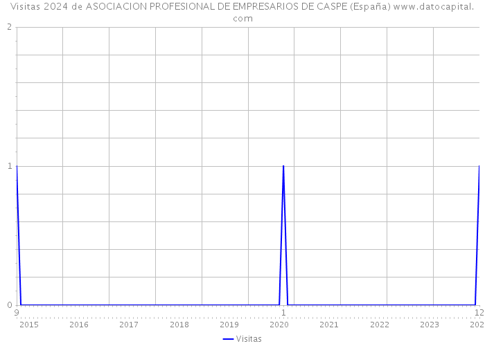 Visitas 2024 de ASOCIACION PROFESIONAL DE EMPRESARIOS DE CASPE (España) 