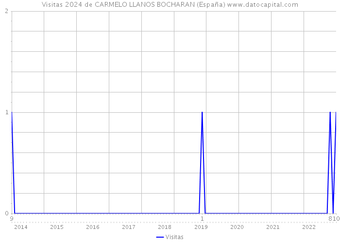 Visitas 2024 de CARMELO LLANOS BOCHARAN (España) 