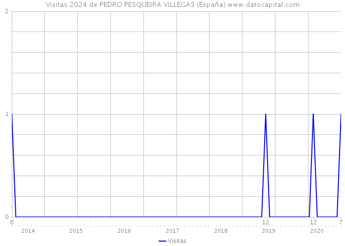 Visitas 2024 de PEDRO PESQUEIRA VILLEGAS (España) 