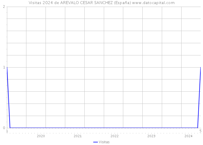 Visitas 2024 de AREVALO CESAR SANCHEZ (España) 