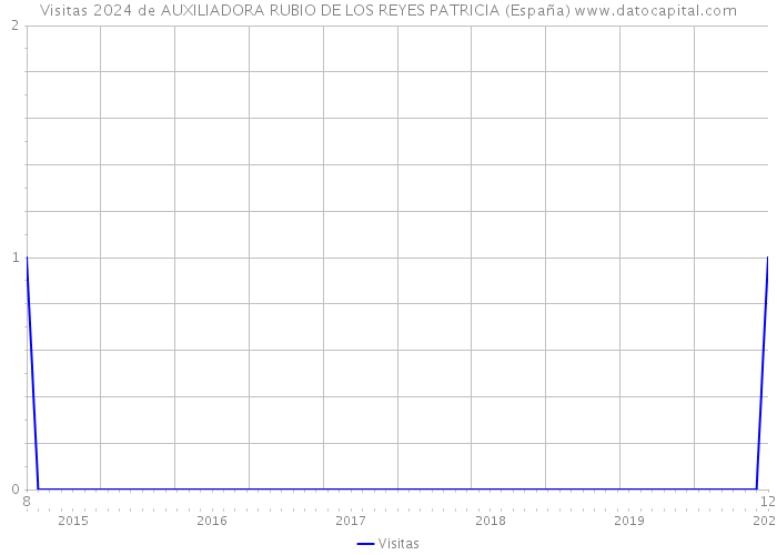 Visitas 2024 de AUXILIADORA RUBIO DE LOS REYES PATRICIA (España) 