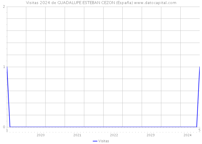 Visitas 2024 de GUADALUPE ESTEBAN CEZON (España) 