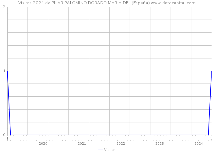 Visitas 2024 de PILAR PALOMINO DORADO MARIA DEL (España) 