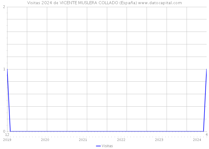 Visitas 2024 de VICENTE MUSLERA COLLADO (España) 