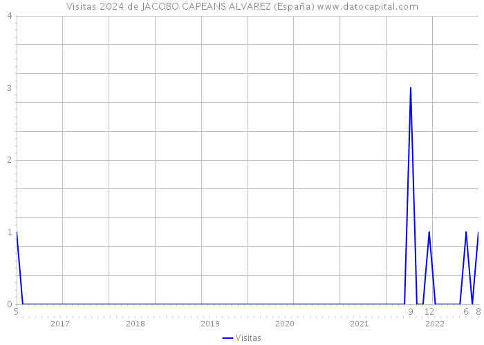 Visitas 2024 de JACOBO CAPEANS ALVAREZ (España) 