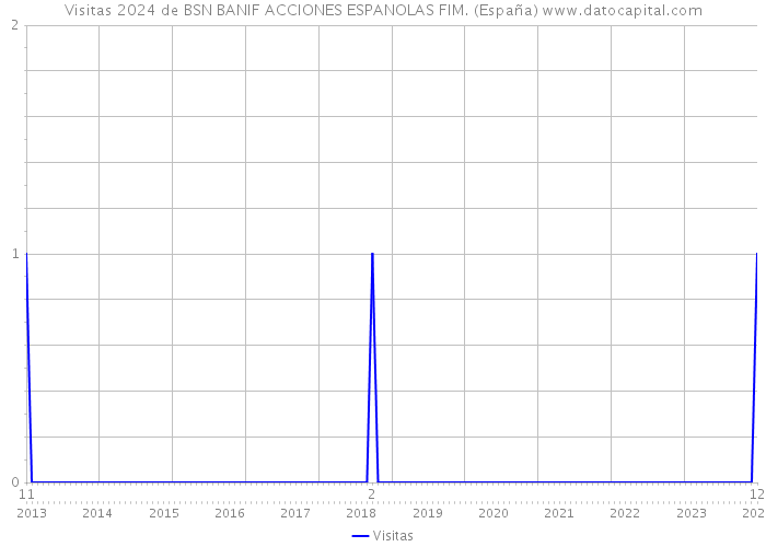 Visitas 2024 de BSN BANIF ACCIONES ESPANOLAS FIM. (España) 