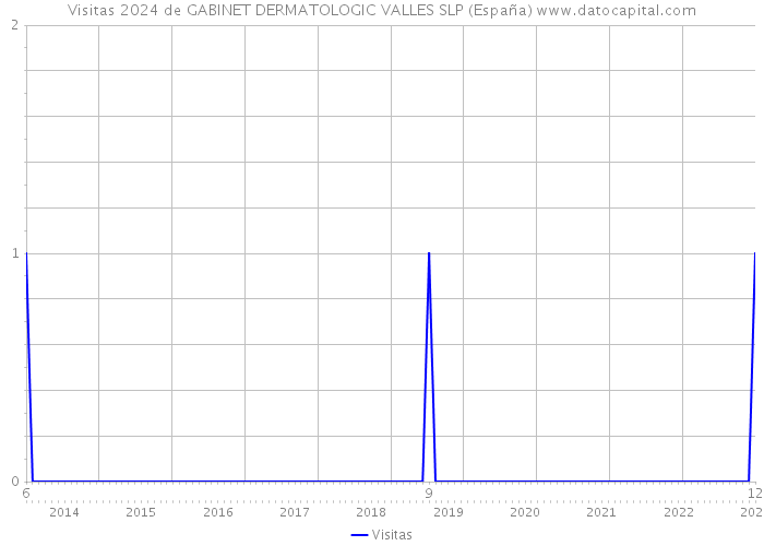 Visitas 2024 de GABINET DERMATOLOGIC VALLES SLP (España) 