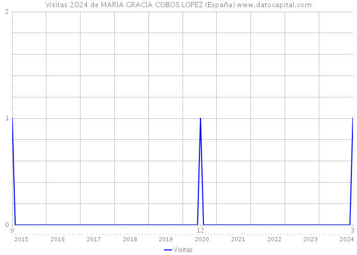 Visitas 2024 de MARIA GRACIA COBOS LOPEZ (España) 