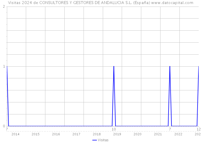 Visitas 2024 de CONSULTORES Y GESTORES DE ANDALUCIA S.L. (España) 