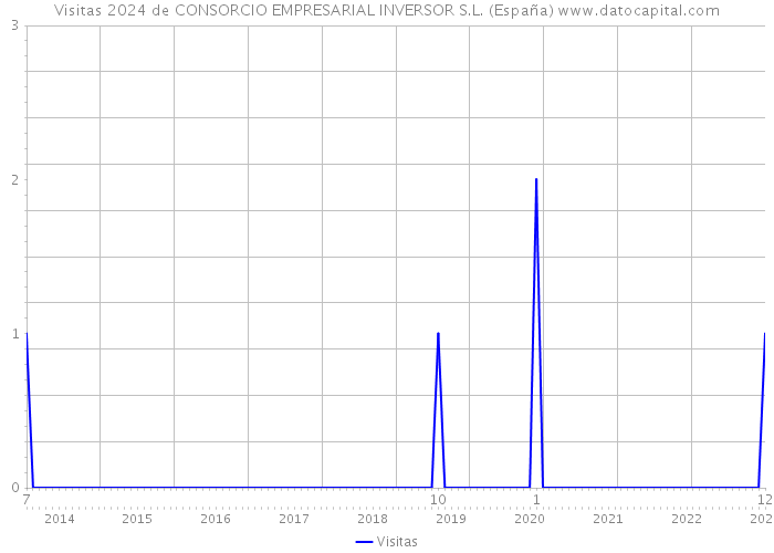 Visitas 2024 de CONSORCIO EMPRESARIAL INVERSOR S.L. (España) 