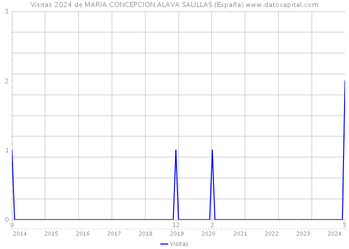 Visitas 2024 de MARIA CONCEPCION ALAVA SALILLAS (España) 