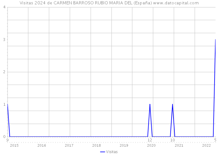 Visitas 2024 de CARMEN BARROSO RUBIO MARIA DEL (España) 