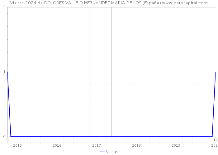 Visitas 2024 de DOLORES VALLEJO HERNANDEZ MARIA DE LOS (España) 