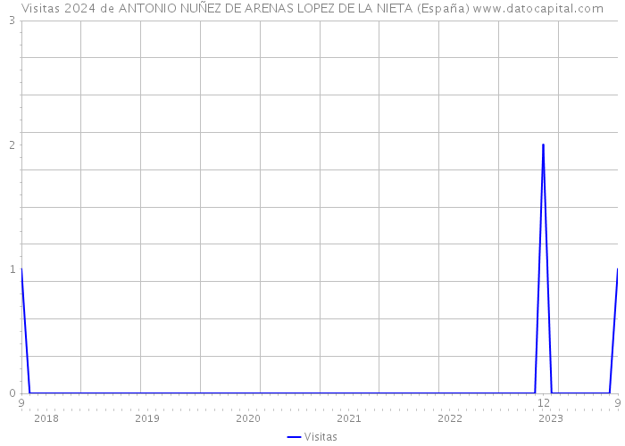 Visitas 2024 de ANTONIO NUÑEZ DE ARENAS LOPEZ DE LA NIETA (España) 