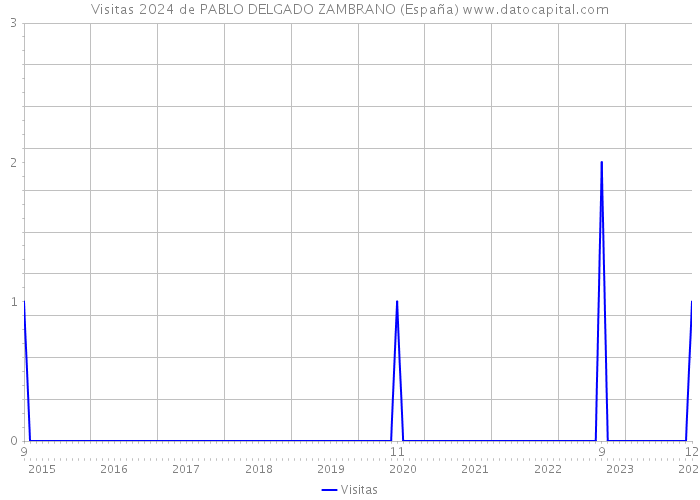 Visitas 2024 de PABLO DELGADO ZAMBRANO (España) 