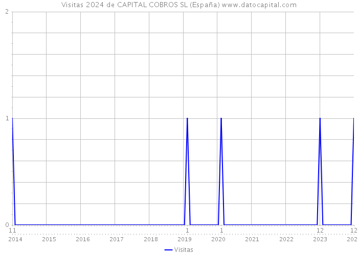 Visitas 2024 de CAPITAL COBROS SL (España) 