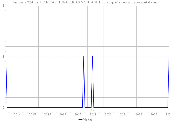 Visitas 2024 de TECNICAS HIDRAULICAS MONTAGUT SL. (España) 