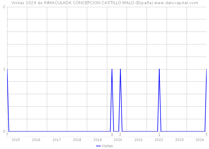 Visitas 2024 de INMACULADA CONCEPCION CASTILLO MALO (España) 