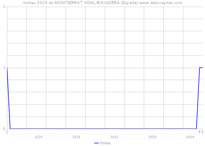 Visitas 2024 de MONTSERRAT VIDAL BOIXADERA (España) 