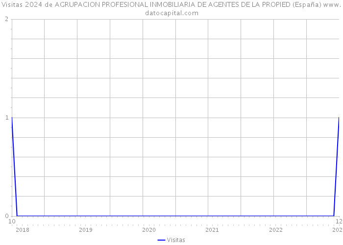 Visitas 2024 de AGRUPACION PROFESIONAL INMOBILIARIA DE AGENTES DE LA PROPIED (España) 
