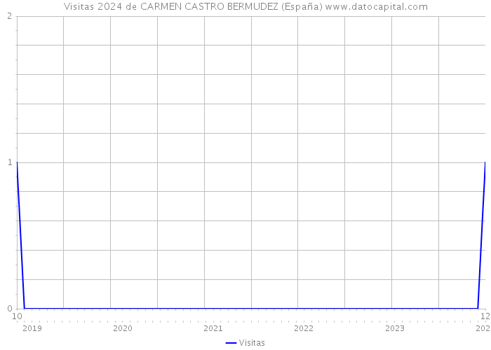 Visitas 2024 de CARMEN CASTRO BERMUDEZ (España) 