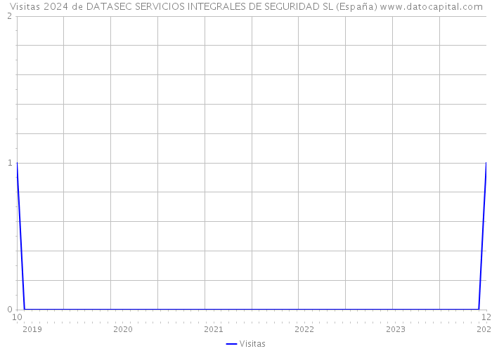 Visitas 2024 de DATASEC SERVICIOS INTEGRALES DE SEGURIDAD SL (España) 