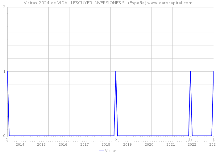 Visitas 2024 de VIDAL LESCUYER INVERSIONES SL (España) 