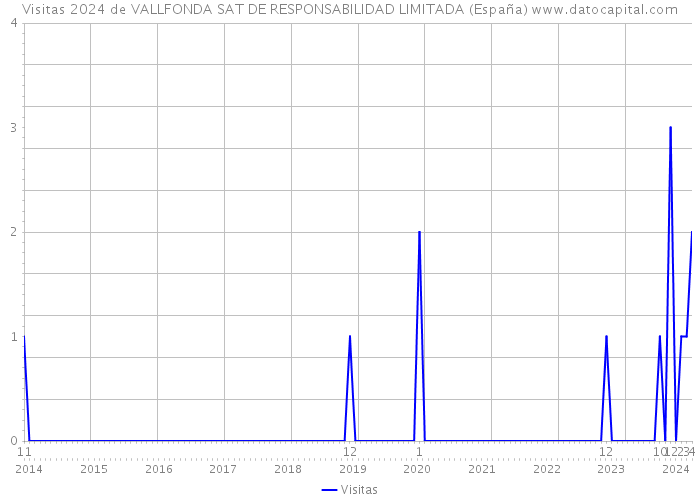 Visitas 2024 de VALLFONDA SAT DE RESPONSABILIDAD LIMITADA (España) 