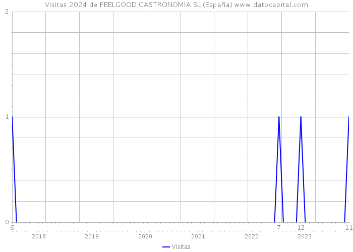 Visitas 2024 de FEELGOOD GASTRONOMIA SL (España) 