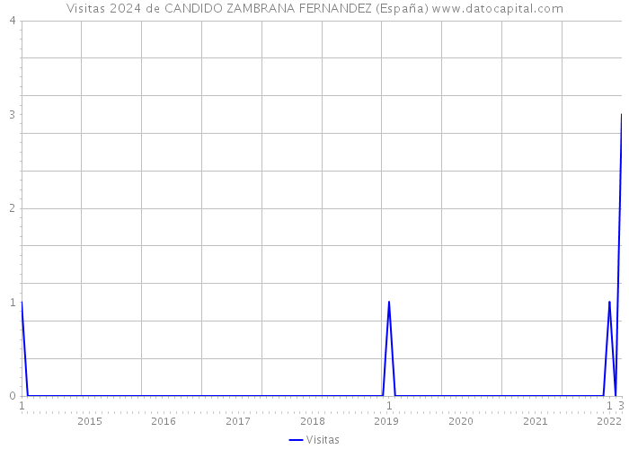 Visitas 2024 de CANDIDO ZAMBRANA FERNANDEZ (España) 
