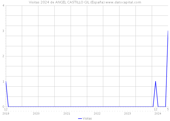 Visitas 2024 de ANGEL CASTILLO GIL (España) 
