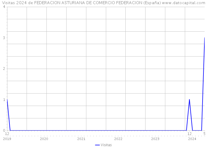 Visitas 2024 de FEDERACION ASTURIANA DE COMERCIO FEDERACION (España) 