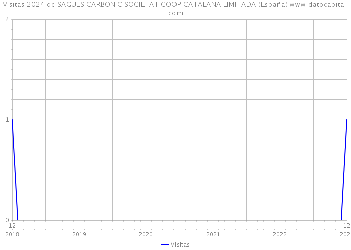 Visitas 2024 de SAGUES CARBONIC SOCIETAT COOP CATALANA LIMITADA (España) 