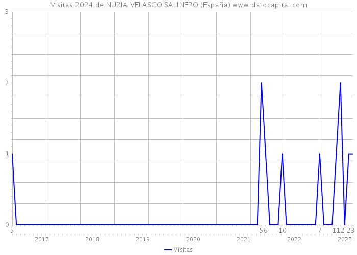 Visitas 2024 de NURIA VELASCO SALINERO (España) 