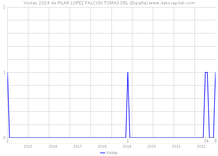 Visitas 2024 de PILAR LOPEZ FALCON TOMAS DEL (España) 