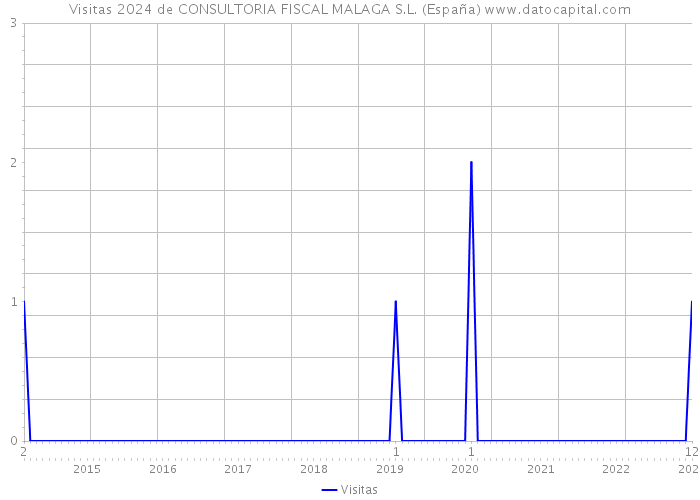 Visitas 2024 de CONSULTORIA FISCAL MALAGA S.L. (España) 