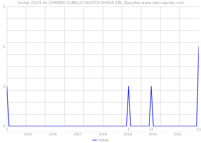 Visitas 2024 de CARMEN CUBILLO SANTOS MARIA DEL (España) 
