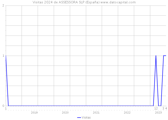Visitas 2024 de ASSESSORA SLP (España) 