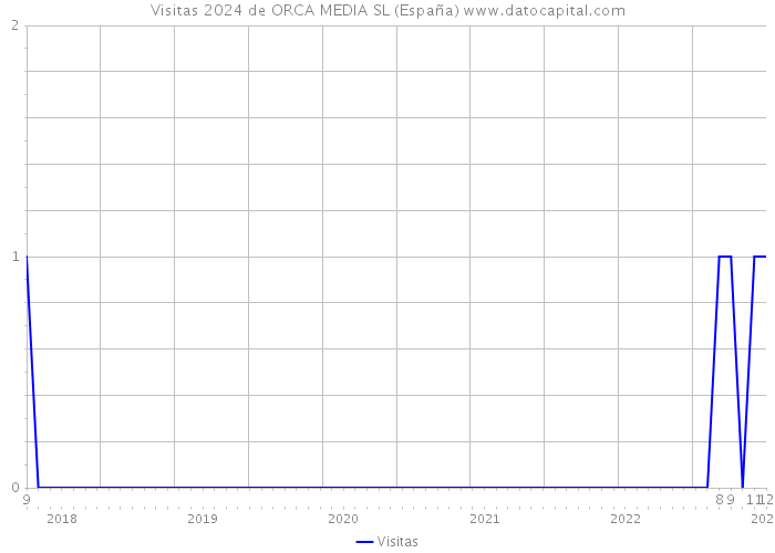 Visitas 2024 de ORCA MEDIA SL (España) 