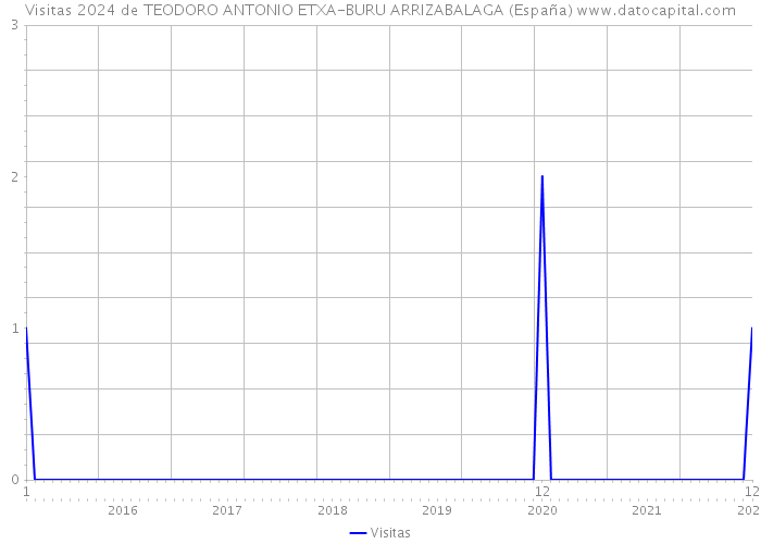 Visitas 2024 de TEODORO ANTONIO ETXA-BURU ARRIZABALAGA (España) 