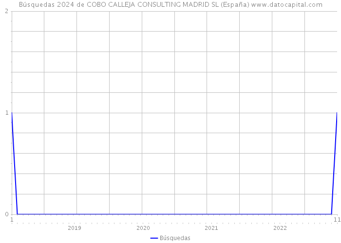 Búsquedas 2024 de COBO CALLEJA CONSULTING MADRID SL (España) 