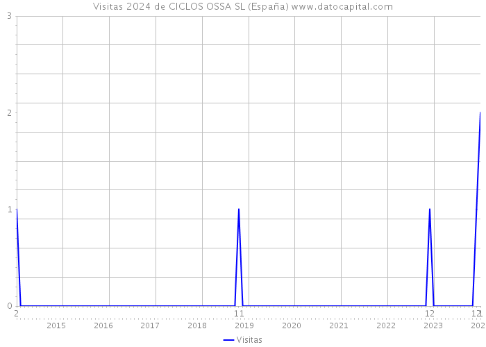 Visitas 2024 de CICLOS OSSA SL (España) 