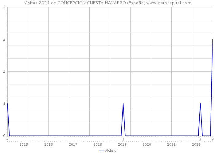 Visitas 2024 de CONCEPCION CUESTA NAVARRO (España) 