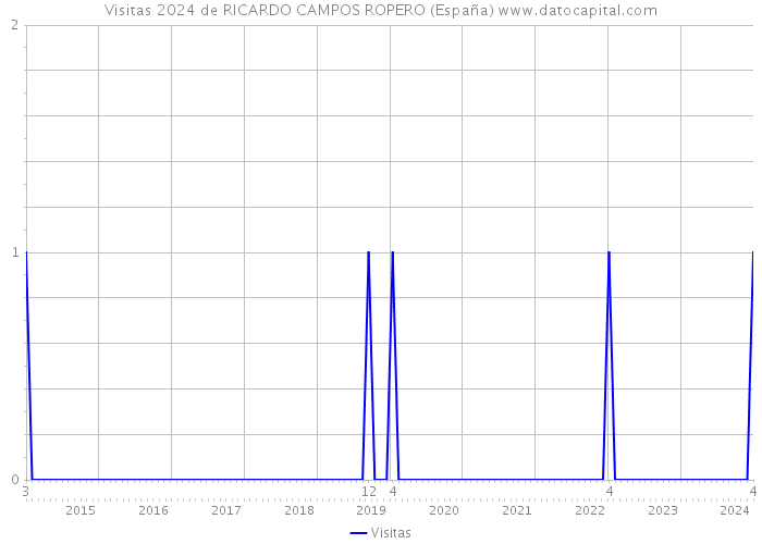 Visitas 2024 de RICARDO CAMPOS ROPERO (España) 