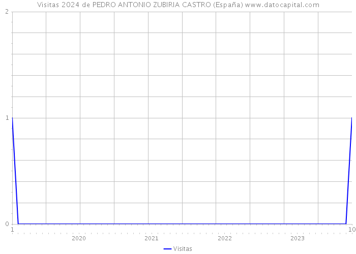 Visitas 2024 de PEDRO ANTONIO ZUBIRIA CASTRO (España) 