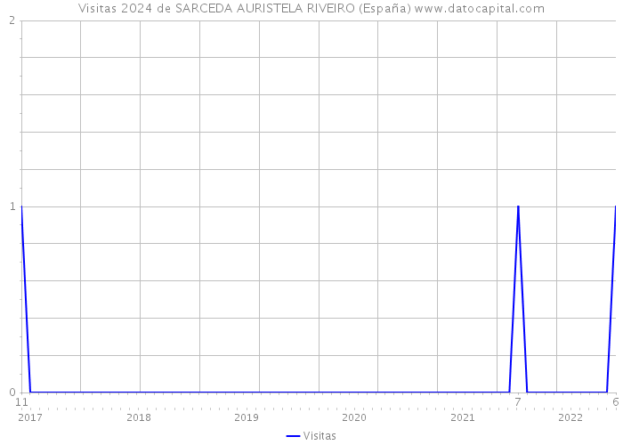 Visitas 2024 de SARCEDA AURISTELA RIVEIRO (España) 