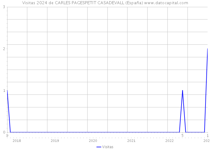 Visitas 2024 de CARLES PAGESPETIT CASADEVALL (España) 