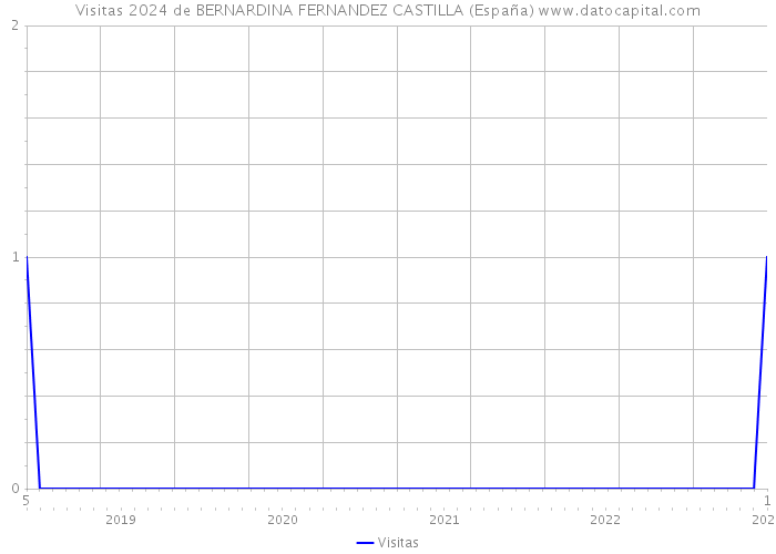 Visitas 2024 de BERNARDINA FERNANDEZ CASTILLA (España) 