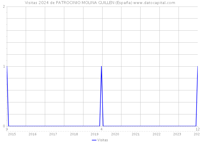 Visitas 2024 de PATROCINIO MOLINA GUILLEN (España) 